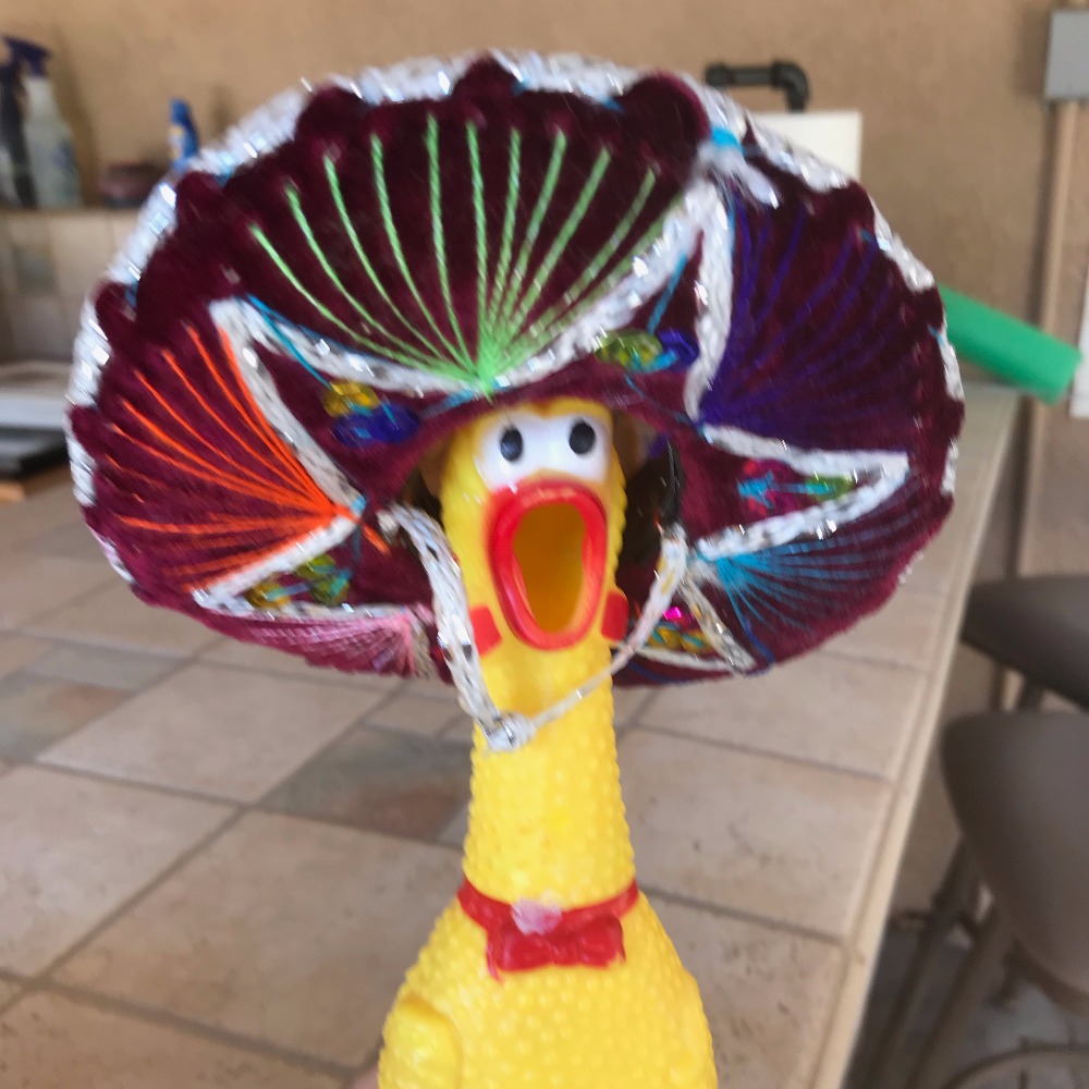 Meet your Posher, Bill